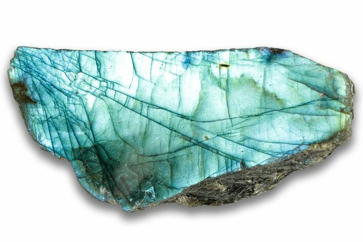Single Side Polished Labradorite Section - Madagascar #324693